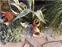 757fe134-2016-07-27 07.35.48.jpg